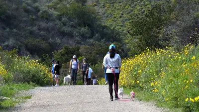 What you can do in your 40s to reach your 80s in good health