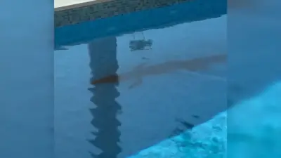 ‘Chills running up my spine’: Florida family finds 6-foot alligator swimming in their pool