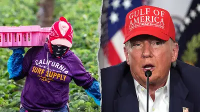 Trump pitches plan allowing farmers to vouch for illegal immigrant workers facing deportation