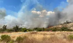 Cal Fire issues nearly $6 million in grants, including to UC San Diego