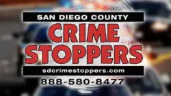 Police asking for public’s help in Pacific Beach rideshare assault