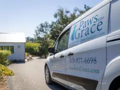 Paws into Grace offers end-of-life care for pets in San Diego